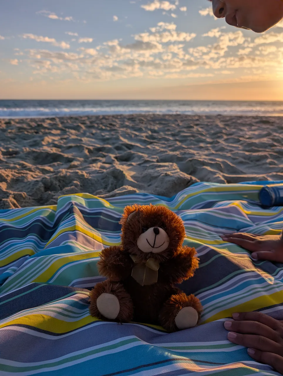 Mr. Bearry sitting on a colorful beach blanket at sunset