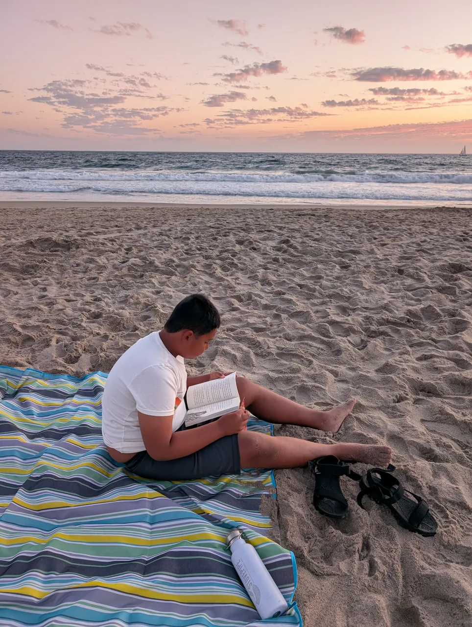 Ray reading beside Mr. Bearry on Venice Beach at sunset